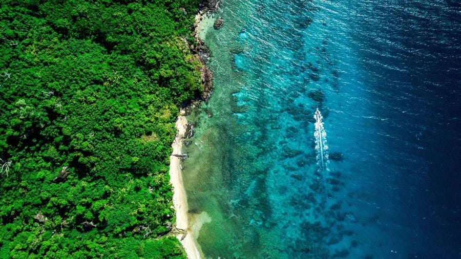 Coral reef and clear water in the Red Sea