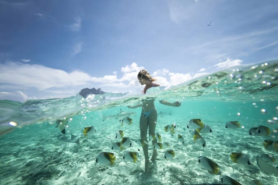The Society Islands in a week