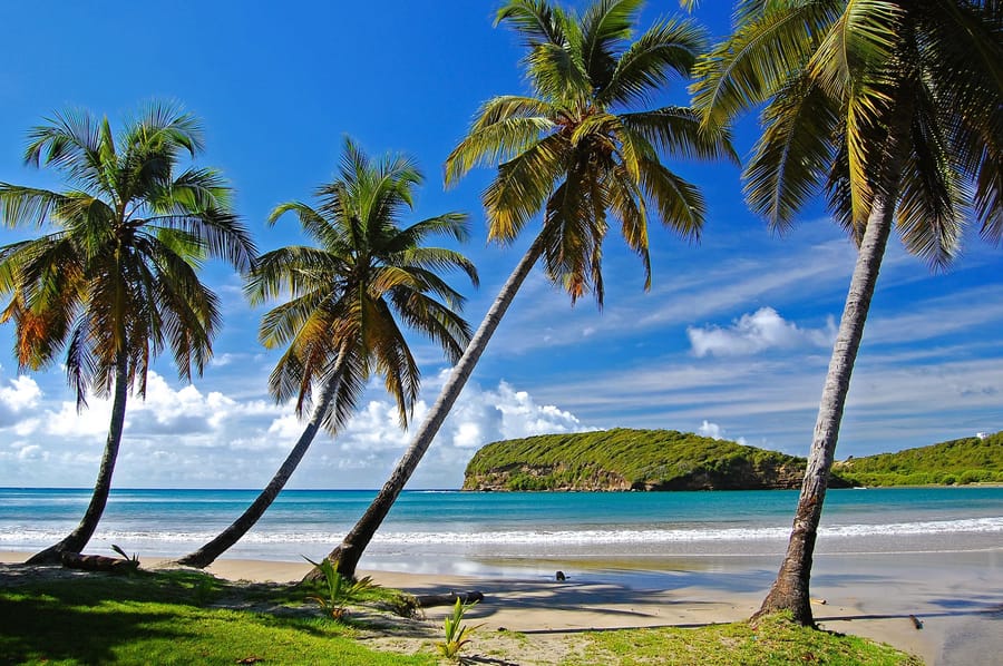 The Windward Islands in two weeks